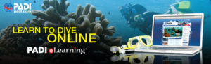 Open Water Static Banner