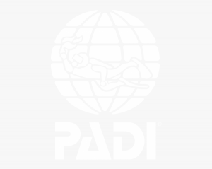Padi logo white